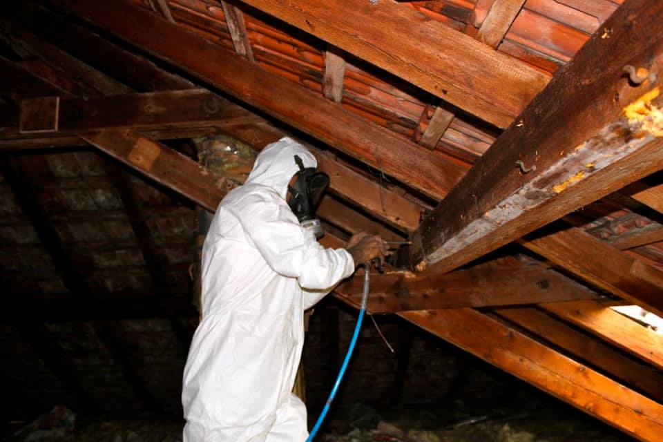 Homme en combinaison blanche qui traite une charpente en bois