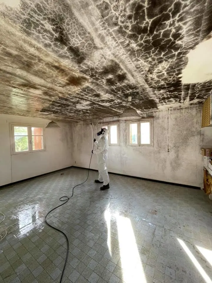 Traitement contre l’humidité et les moisissures sur murs intérieurs réalisé par Rénovation Toiture Occitanie, application professionnelle pour assèchement durable des murs.