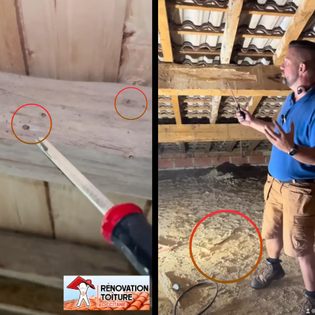 Traitement de charpente contre les insectes xylophages réalisé par Rénovation Toiture Occitanie, injection et pulvérisation préventive et curative sur bois.